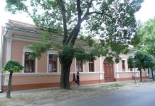 Likovna kolonija u rodnoj kući velikog bečejskog slikara Mora Tana